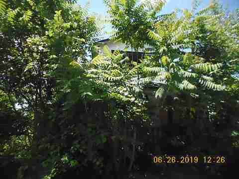 20103 Cardoni (5)_m.jpg